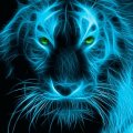 bluetiger