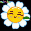Abendblume