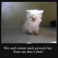 DonnaBlitz_1962